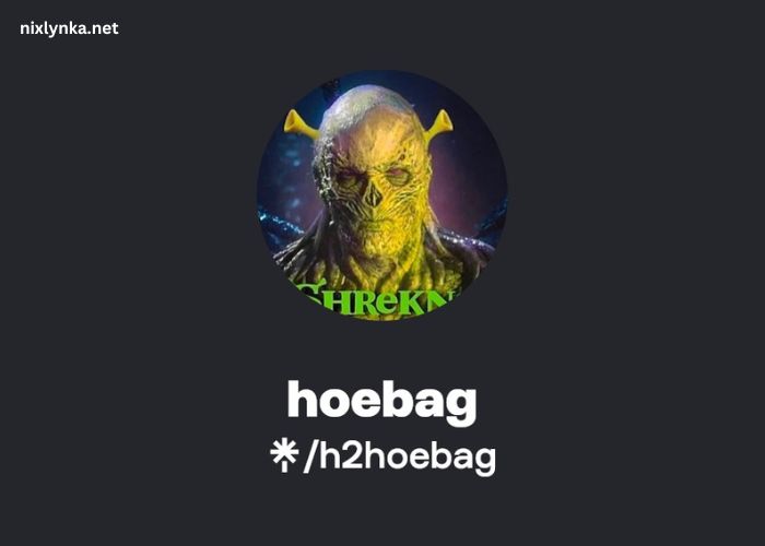 H2Hoebag OnlyFans - Explore Premium Access to Unique Content